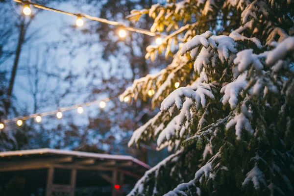 Téli Ünnepek Hátterének Karácsony Újév Közeli Kép Részlete Hóban Szemben — Stock Fotó