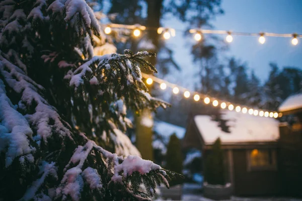 Invierno Vacaciones Fondo Para Año Nuevo Navidad Detalle Cerca Una — Foto de Stock