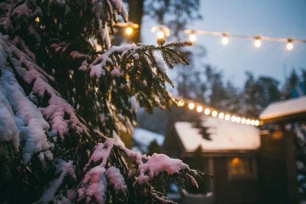 Invierno Vacaciones Fondo Para Año Nuevo Navidad Detalle Cerca Una — Foto de Stock