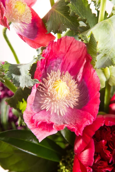 Velké Krásné Svěží Kytice Květiny Světlý Vícebarevný Mák Pivoňka Lila — Stock fotografie