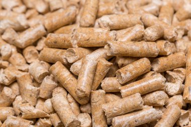 Kedi evde beslenen hayvan hayvan tuvalet için yakın çekim makro filler. Ahşap talaş egology temiz, hiçbir koku house için preslenmiş hayvan tuvalete gider.