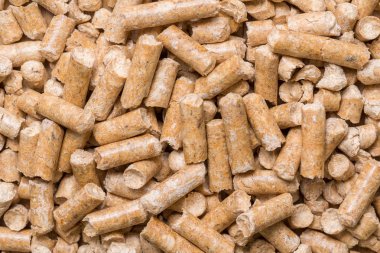 Kedi evde beslenen hayvan hayvan tuvalet için yakın çekim makro filler. Ahşap talaş egology temiz, hiçbir koku house için preslenmiş hayvan tuvalete gider.