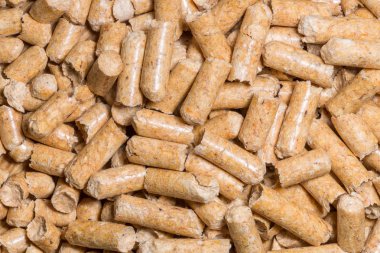 Kedi evde beslenen hayvan hayvan tuvalet için yakın çekim makro filler. Ahşap talaş egology temiz, hiçbir koku house için preslenmiş hayvan tuvalete gider.