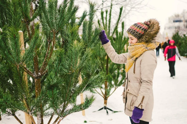 Theme is the symbol of Christmas and New Year holidays. Beautiful young Caucasian female shopper, chooses, makes a purchase at the Christmas tree market in the winter outside in snowy weather.