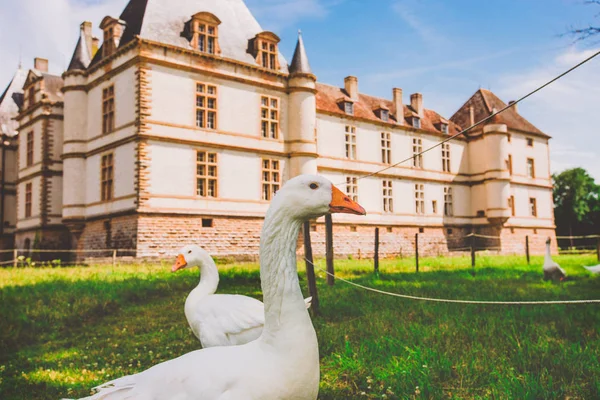 Juli 2017 Byn Cormatin Frankrike Vinröd Regionen Sommar Museum Gamla — Stockfoto