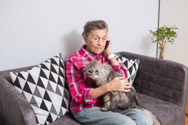 Tema eski kişi teknolojisini kullanır. Memnun sevinç gülümseme etkin gri saç beyaz kırışıklıkları kadın oturan ev oturma odası kanepe üzerinde kabarık kedi istimal hareket eden telefon, çağrı ve telefonu konuşurken Olgun.