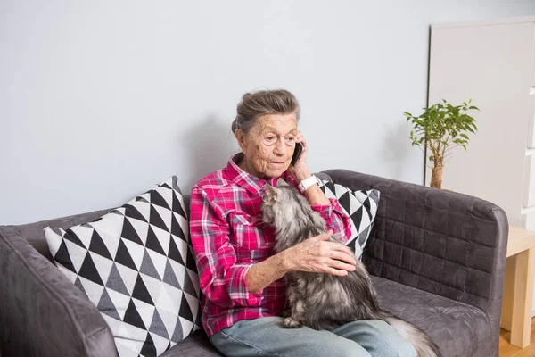 Theme old person uses technology. Mature contented joy smile active gray hair Caucasian wrinkles woman sitting home living room on sofa with fluffy cat using mobile phone, calling and talking phone.