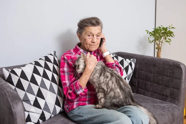 主题老人使用技术 成熟满足的喜悦微笑活跃的灰发白种人皱纹妇女坐在家里客厅的沙发上与蓬松的猫使用手机 电话和会说话的电话 — 图库照片