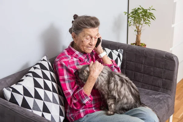 Theme old person uses technology. Mature contented joy smile active gray hair Caucasian wrinkles woman sitting home living room on sofa with fluffy cat using mobile phone, calling and talking phone.