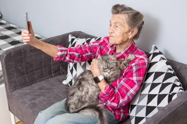 old person usestechnology. Mature contented joy smile active gray hair Caucasian wrinkles woman sitting living room couch with fluffy cat using mobile phone, video call, front selfie camera hand.