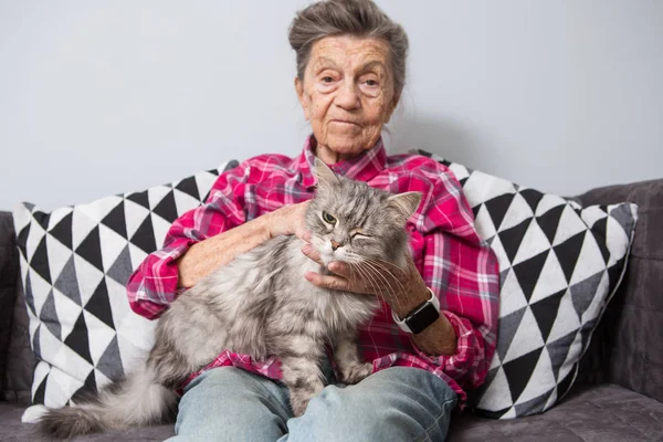 Muy Anciana Abuela Caucásica Pelo Gris Arrugas Profundas Está Sentada —  Fotos de Stock