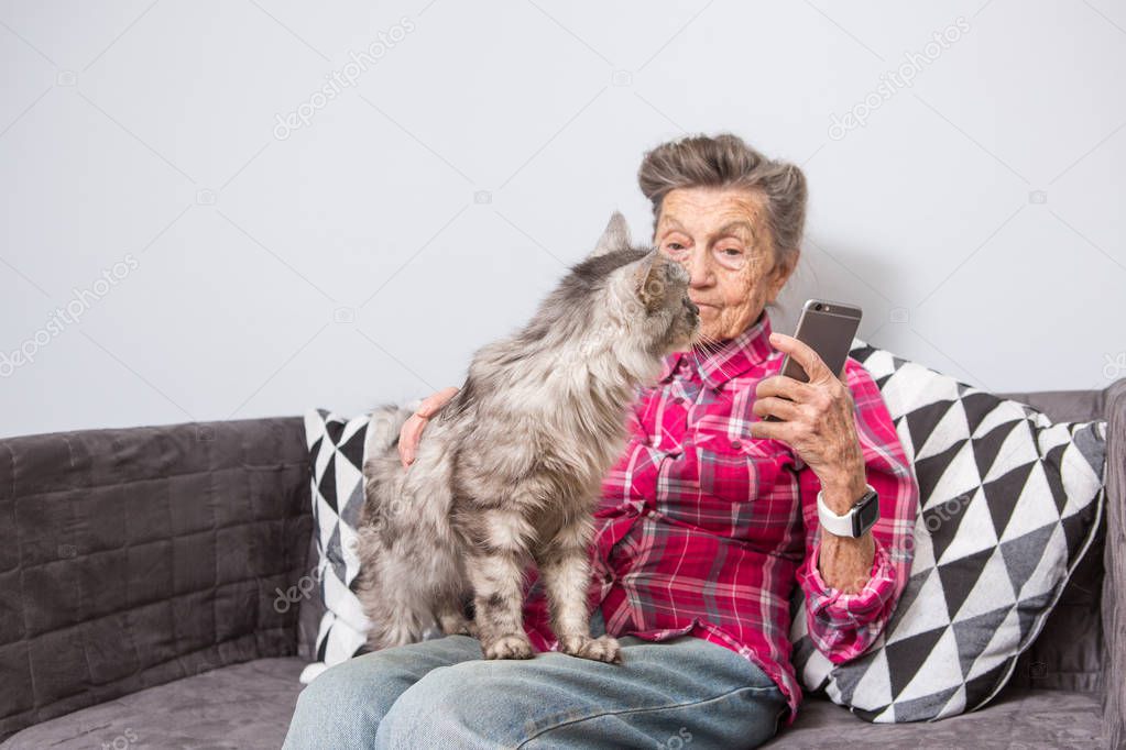 very old senior Caucasian grandmother with gray hair and deep wrinkles sitting home on sofa in jeans and shirt with gray fluffy shaggy cat and using smart phone technology in hands. Pensioner and pet.