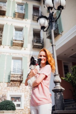 İnsan ve hayvan dostluk temasıdır. Yaz aylarında güneşli havalarda bina bir ev yakınındaki bir evcil köpek Chihuahua cins tutan güzel genç Kızıl saçlı beyaz kadın.