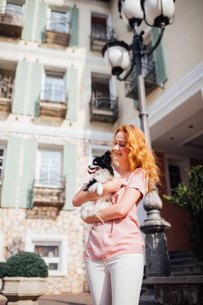 The theme is the friendship of man and animal. Beautiful young red hair Caucasian woman holding a pet dog Chihuahua breed near a house building in the summer in sunny weather.