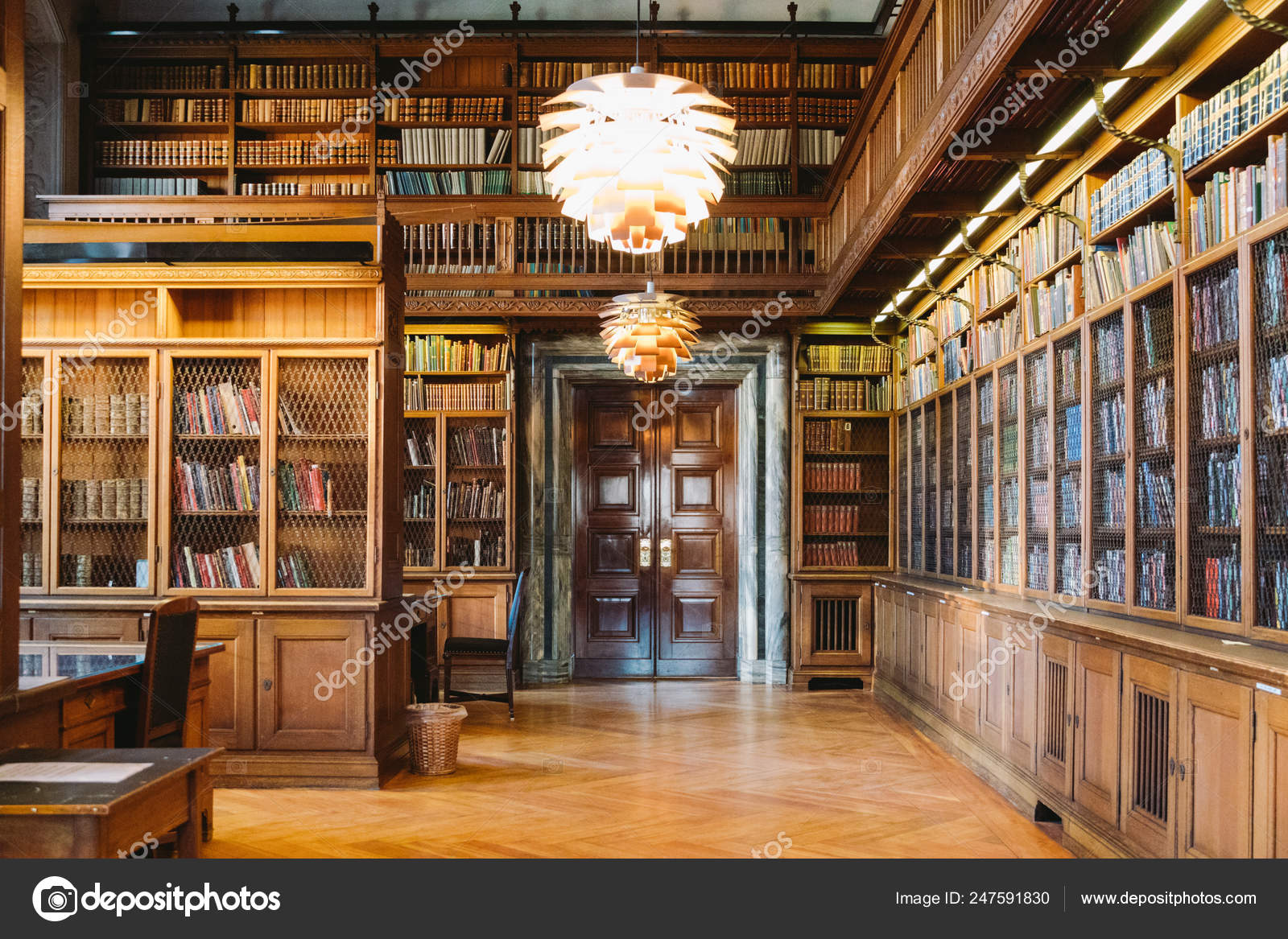 書籍を保管します。ゴシック様式の大きな古い図書館。棚と本と行