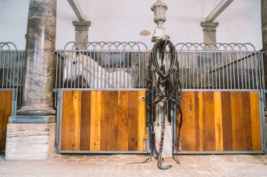 Danimarka, Kopenhag şehir Christiansborg yuvası bölge Royal ahırda. Tezgahlarda beyaz atları ile eski kararlı