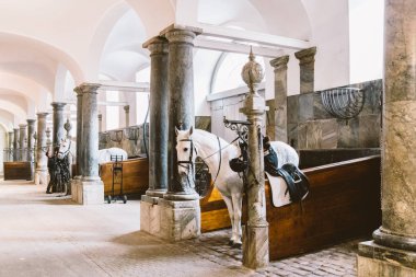 Danimarka, Kopenhag şehir Christiansborg yuvası bölge Royal ahırda. Tezgahlarda beyaz atları ile eski kararlı