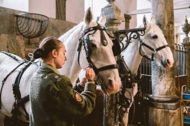 Şubat 20, 2019.Royal bölge Christiansborg yuvası Danimarka Kopenhag ahırda. Adam genç kadın binici jokey hazırlanması için bir at başlığı, at başlığı, fırsat, bridel snaffle, dizgin beyaz atlı