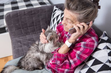 Tema eski kişi teknolojisini kullanır. Memnun sevinç gülümseme etkin gri saç beyaz kırışıklıkları kadın oturan ev oturma odası kanepe üzerinde kabarık kedi istimal hareket eden telefon, çağrı ve telefonu konuşurken Olgun