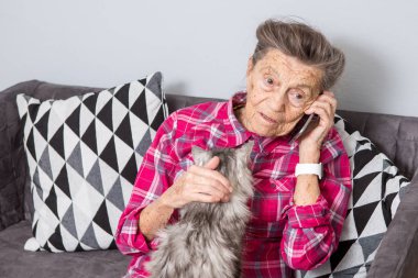 Tema eski kişi teknolojisini kullanır. Memnun sevinç gülümseme etkin gri saç beyaz kırışıklıkları kadın oturan ev oturma odası kanepe üzerinde kabarık kedi istimal hareket eden telefon, çağrı ve telefonu konuşurken Olgun