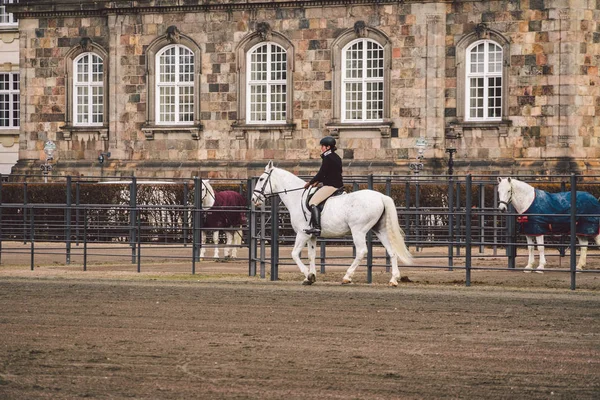 20. Februar 2019. denmark. Kopenhagen. Training Bypass Anpassung eines Pferdes im königlichen Stall des Schlosses christiansborg Slots. Mann in Uniform und mit Helm und Rennpferd im Freien — Stockfoto