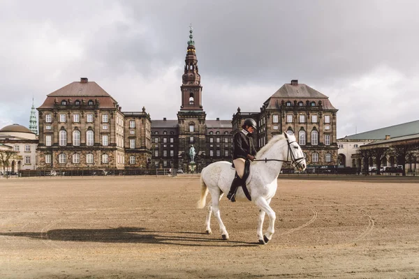 February 20, 2019. Denmark. Copenhagen. Training bypass Adaptation of a horse in the royal stable of the castle Christiansborg Slots. Man rider in uniform and helmet and racehorse outdoors — Stock Photo, Image