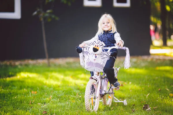Смішні дитини кавказьких дівчата блондинки поблизу purple велосипед з кошиком і Зебра іграшку за межами парку на зеленій галявині кошик травою на дому — стокове фото