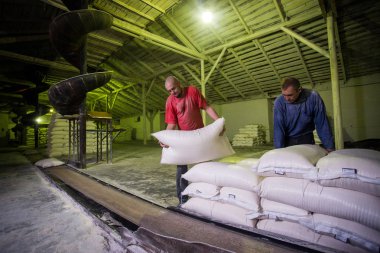 14 Ekim 2014.Ukraine.Kyiv.Workers kurumsal. İki beyaz delikanlı yükleyici eski bir fabrikada çalışıyorum. Çanta bir nakliye kemer üzerine yükleme.