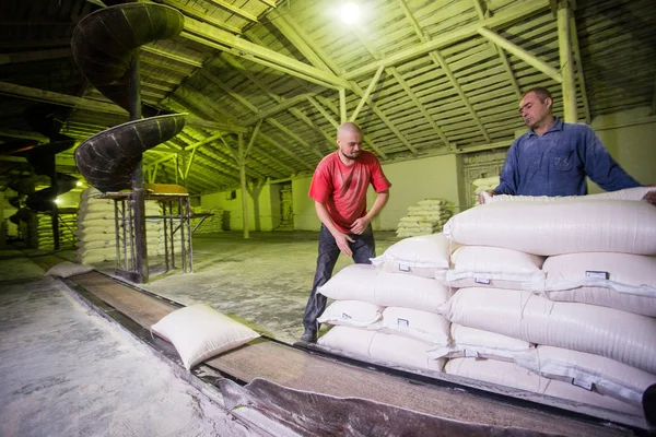 14 octubre 2014.Ucrania.Kyiv.Trabajadores en la empresa. Dos jóvenes caucásicos trabajan como cargadores en una vieja fábrica. Carga de bolsas en un cinturón de transporte . — Foto de Stock