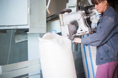 14 Ekim 2014.Ukraine.Kyiv.Work tarım ürünleri üretim. Bir iniform giymiş beyaz bir kadın iş paketleri büyük torbalar içine ürünler toplu bir konveyör gerçekleştirir.