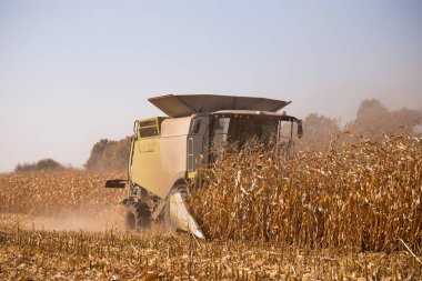 Tarım temasıdır. Bir modern birleştirmek hasat alanında mavi gökyüzü karşı güneşli bir tahıl hasat gerçekleştirir. Çiftlik ve makineleri kullanarak otomasyon.