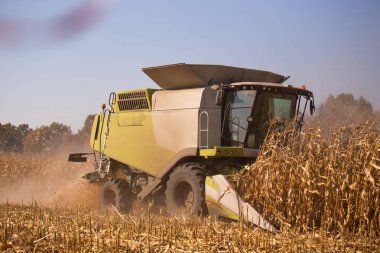 Tarım temasıdır. Bir modern birleştirmek hasat alanında mavi gökyüzü karşı güneşli bir tahıl hasat gerçekleştirir. Çiftlik ve makineleri kullanarak otomasyon.