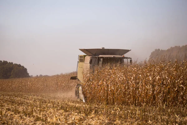 Het thema is de landbouw. Een moderne combine harvester in het veld voert graan oogst op een zonnige dag tegen een blauwe hemel. Boerderij en automatisering met behulp van machines. — Stockfoto