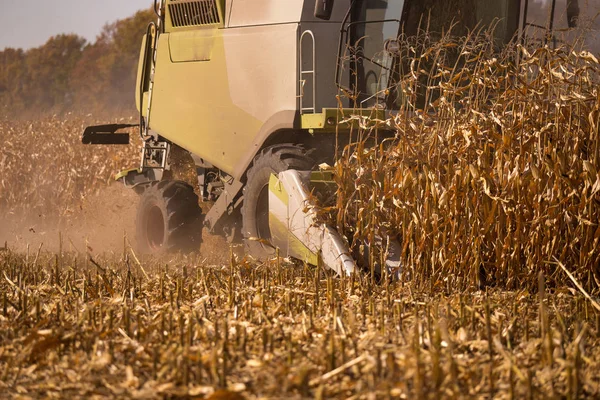 The theme is agriculture. A modern combine harvester in the field performs grain harvesting on a sunny day against a blue sky. Farm and automation using machines. — Stock Photo, Image