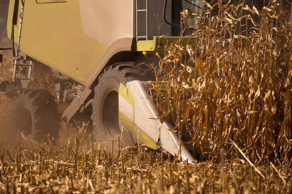 Het thema is de landbouw. Een moderne combine harvester in het veld voert graan oogst op een zonnige dag tegen een blauwe hemel. Boerderij en automatisering met behulp van machines. — Stockfoto