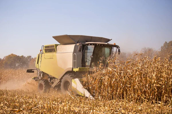 O tema é a agricultura. Uma colheitadeira moderna no campo realiza a colheita de grãos em um dia ensolarado contra um céu azul. Fazenda e automação usando máquinas . — Fotografia de Stock