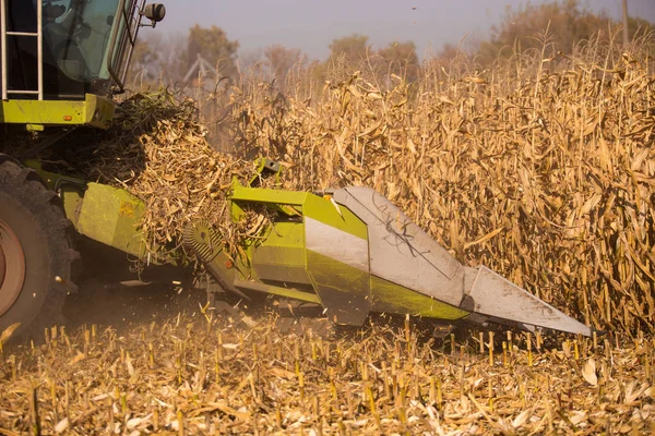 The theme is agriculture. A modern combine harvester in the field performs grain harvesting on a sunny day against a blue sky. Farm and automation using machines. — Stock Photo, Image