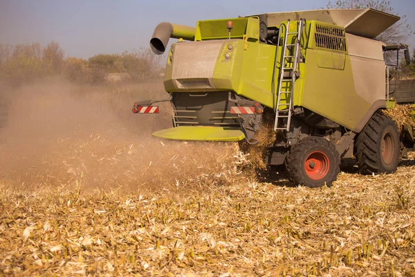 Het thema is de landbouw. Een moderne combine harvester in het veld voert graan oogst op een zonnige dag tegen een blauwe hemel. Boerderij en automatisering met behulp van machines. — Gratis stockfoto