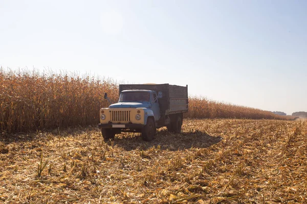 오래 된 레트로 소련 트럭 화창한 날에는 푸른 하늘에 대 한 수확에 대 한 분야에 걸쳐 타고. 약한 경제와 국가에 전송 및 농업 테마. — 스톡 사진