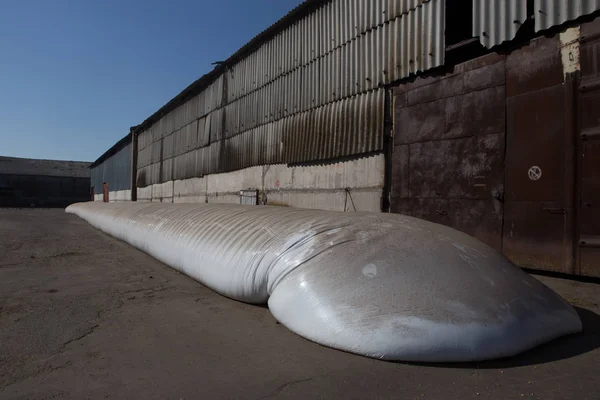 El tema es industria y agrario. La cosecha de grano se almacena en grandes bolsas blancas selladas a prueba de humedad al aire libre en el territorio de la granja. . —  Fotos de Stock