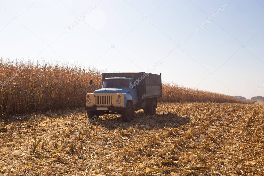 An old retro Soviet truck rides across a field for harvesting against a blue sky on a sunny day. Theme of transport and agricultural in countries with weak economics.