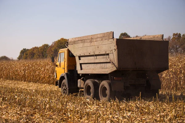 Een oude retro Sovjet-vrachtwagen rijdt over een veld voor het oogsten van tegen een blauwe hemel op een zonnige dag. Thema van het vervoer en de landbouw in landen met een zwakke economie. — Stockfoto