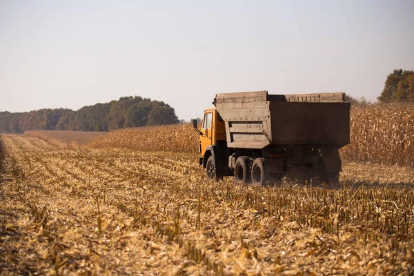 Een oude retro Sovjet-vrachtwagen rijdt over een veld voor het oogsten van tegen een blauwe hemel op een zonnige dag. Thema van het vervoer en de landbouw in landen met een zwakke economie. — Stockfoto