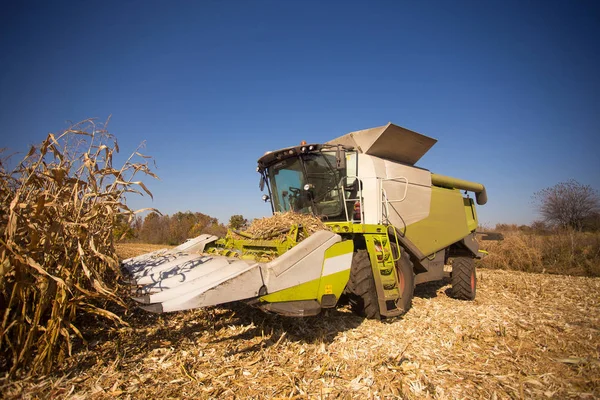 テーマ農業であります。分野で近代的なコンバインは、晴れた青い空を背景に穀物の収穫を実行します。ファームとマシンを使用してオートメーション. — ストック写真