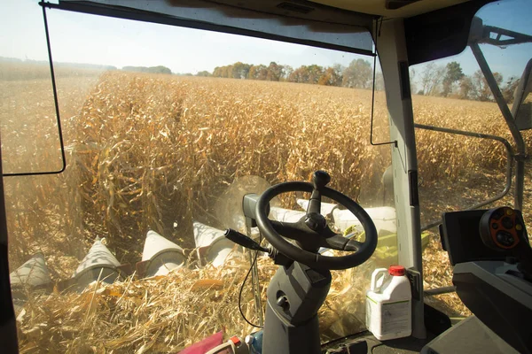 View of the field of corn from the cab of a combine harvester on a sunny day. Workplace of a combine operator. Theme is agricultural and agriculture — Stock Photo, Image