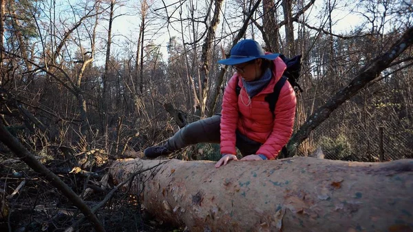 Una joven turista con una mochila pisa un árbol caído en el bosque con una mochila. Tema turismo de senderismo en el bosque. Superar dificultades y desafíos — Foto de Stock