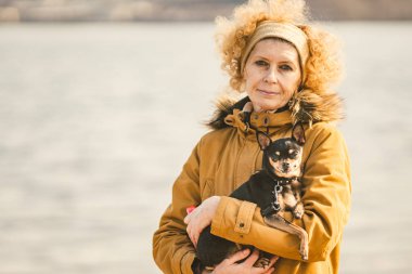 Portrait of an adult blonde curly hair Caucasian woman holding a small black-colored dog breed toy terrier. Old funny pet sticks out a tooth canine, tongue falls out, not a correct bite clipart