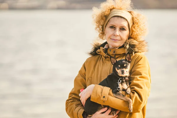 Retrato de una rubia adulta pelo rizado mujer caucásica sosteniendo un pequeño perro de color negro raza juguete terrier. Vieja mascota divertida sobresale de un diente canino, la lengua se cae, no una mordida correcta —  Fotos de Stock