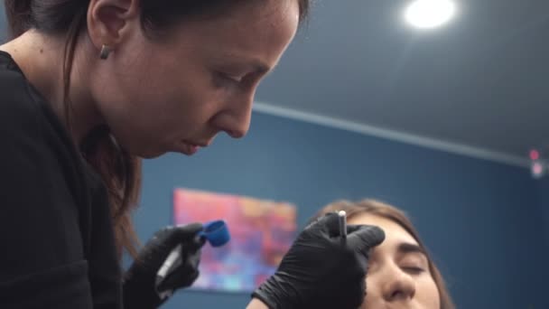 Teñido de cejas. El maestro pinta las cejas con la henna a la muchacha hermosa, pinta con el pincel en el salón de la esteticista-maquilladora. Arquitectura de frente — Vídeos de Stock