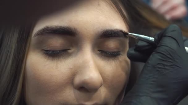 眉染め。美しい女の子にヘナで眉毛を描き、美容師メイクアーティストのサロンにブラシでペイントします。ブラウザアーキテクチャ — ストック動画